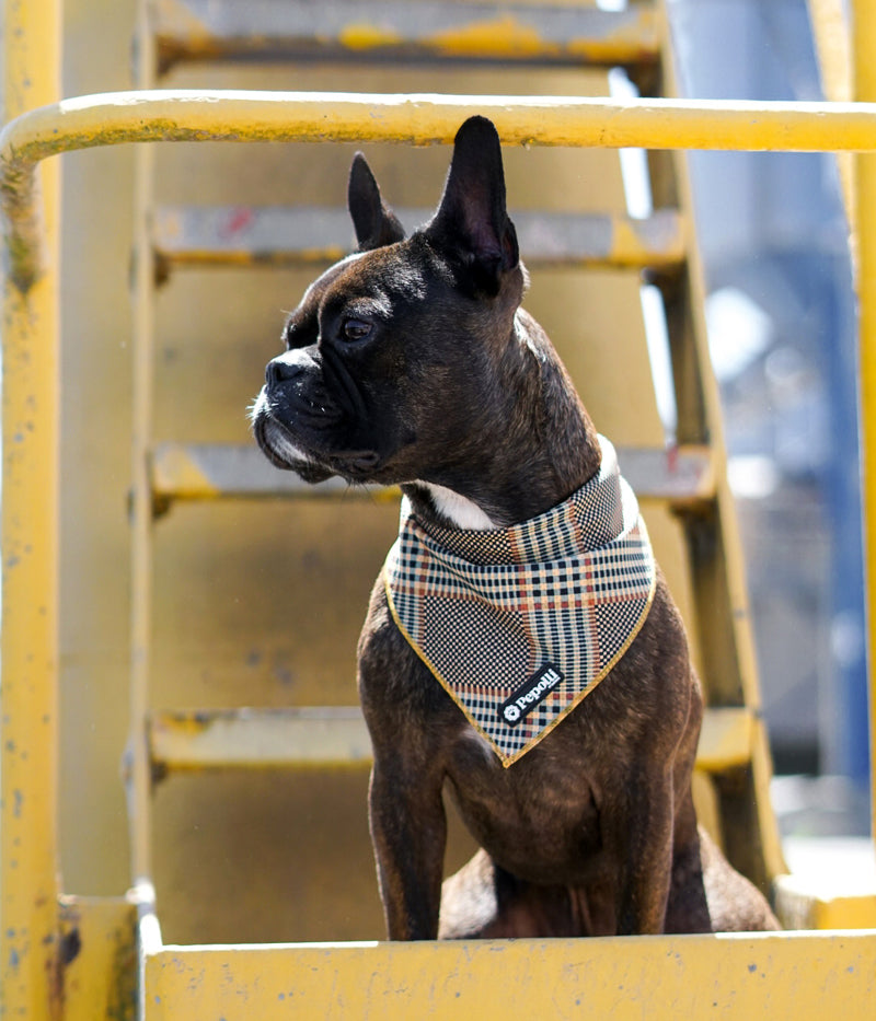 "ARMY" dog bandana