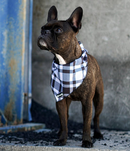 "ARMY" dog bandana